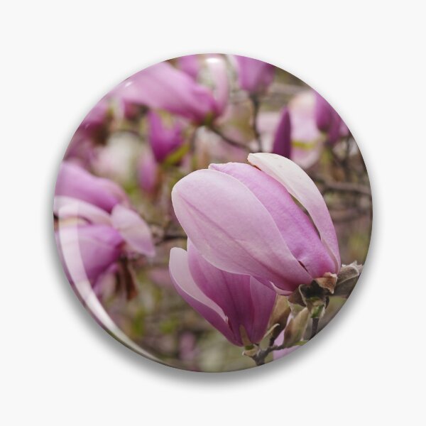 Item preview, Magnolia flowers designed and sold by vm2002.