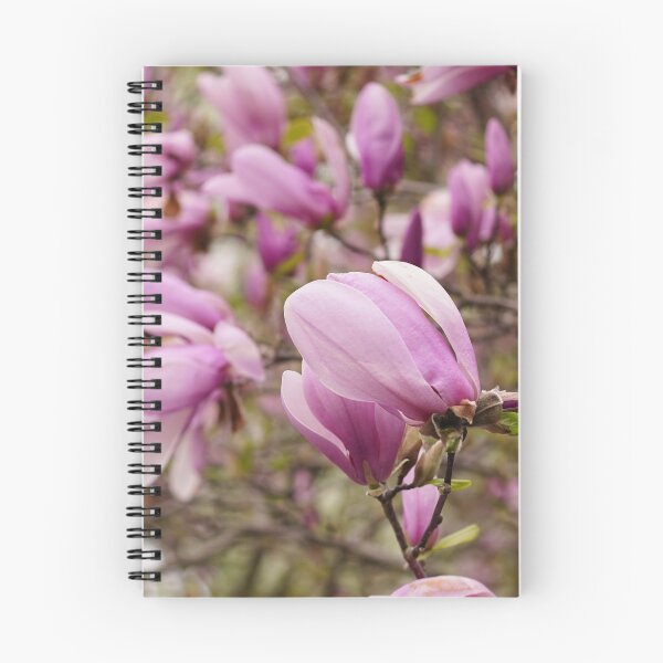 Item preview, Magnolia flowers designed and sold by vm2002.