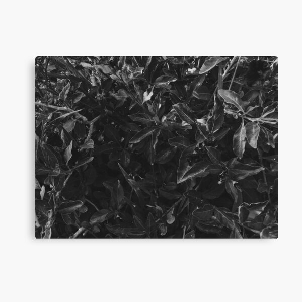Item preview, B&W Pomegranate Leaves designed and sold by homotropic.