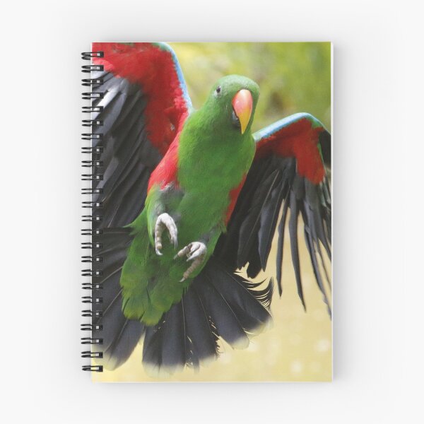 Item preview, Le vol du perroquet designed and sold by Yves Roumazeilles (Wild Focus).