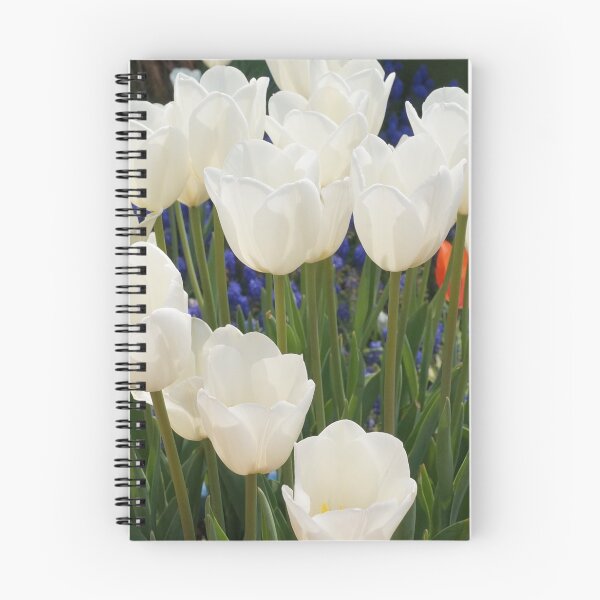 Item preview, White spring tulips designed and sold by jannelserrano.
