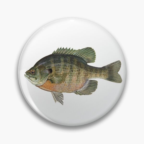 Item preview, Bluegill  designed and sold by FastArcher.