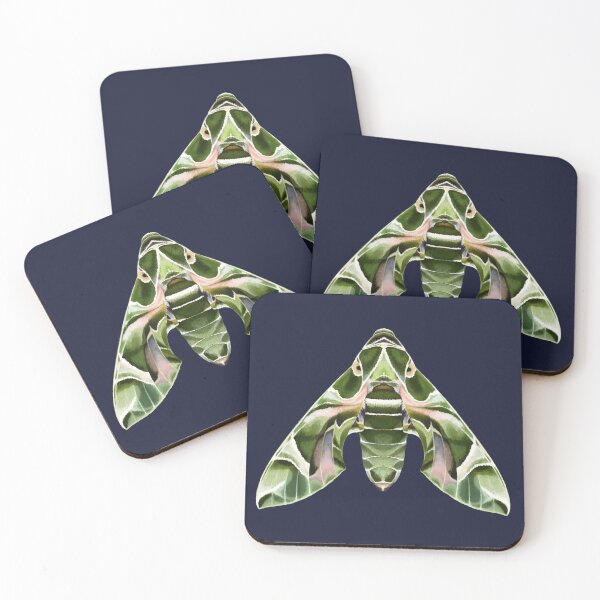 Item preview, Oleander hawkmoth designed and sold by Entomologize.