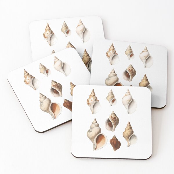 Item preview, Vintage Sea Shells Conc Type. designed and sold by MartianBCShop.