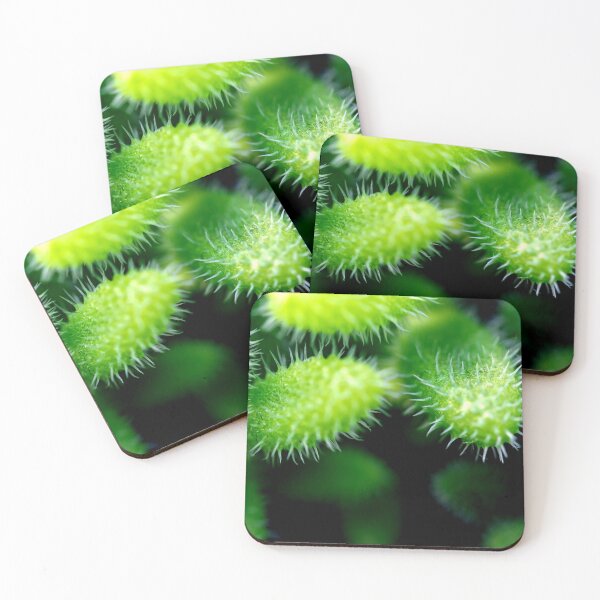 Item preview, Macro shot of a green cacti or cactus and its thorns or spines in a flower garden in Singapore designed and sold by Artsy Boulevard.