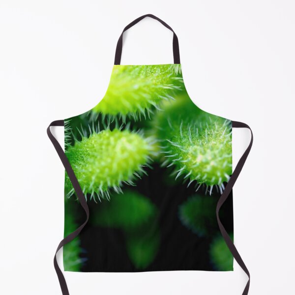 Item preview, Macro shot of a green cacti or cactus and its thorns or spines in a flower garden in Singapore designed and sold by Artsy Boulevard.