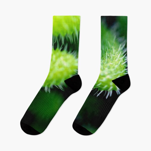 Item preview, Macro shot of a green cacti or cactus and its thorns or spines in a flower garden in Singapore designed and sold by Artsy Boulevard.