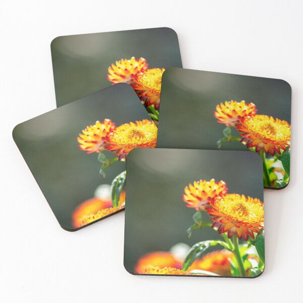 Item preview, Macro closeup shot of an orange flower with soft blurry green background and space for text designed and sold by Artsy Boulevard.