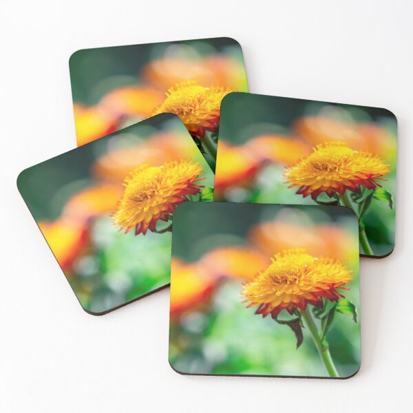 Item preview, Macro closeup shot of an orange flower with soft blurry green background and space for text designed and sold by Artsy Boulevard.