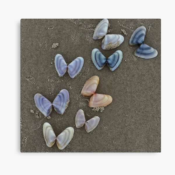 Angel wings Canvas Print