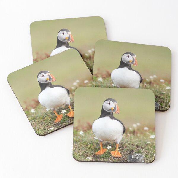 Item preview, Atlantic Puffin designed and sold by mlorenz.
