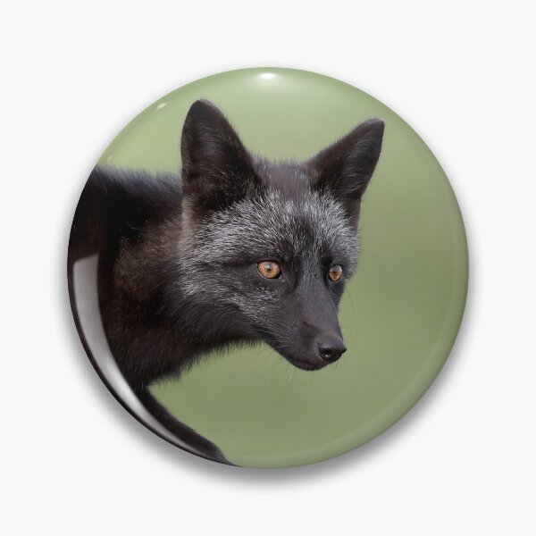 Item preview, Silver Fox Kit designed and sold by mlorenz.
