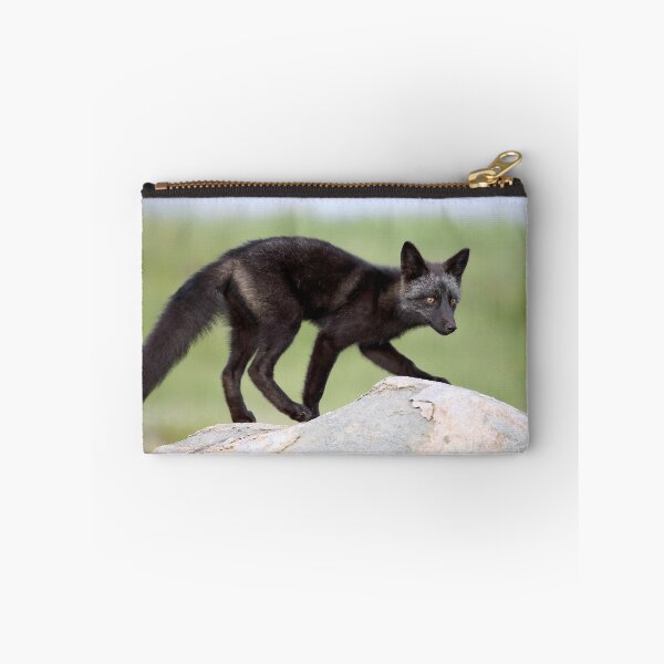 Item preview, Silver Fox Kit designed and sold by mlorenz.