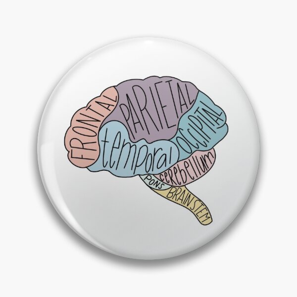 Item preview, Brain Lobes  designed and sold by dil-emmas.