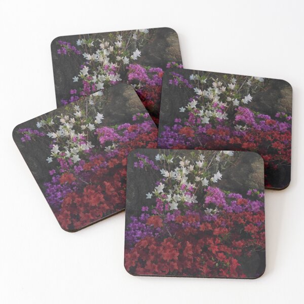 Item preview, Azalea flowers along the hongjecheon road, Seoul in  Korea. designed and sold by human8891.