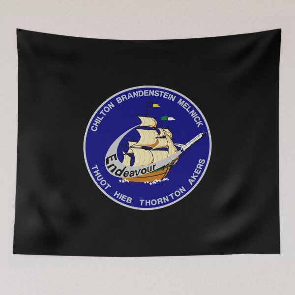 Item preview, STS-49 Mission Patch  designed and sold by msdellLari88.
