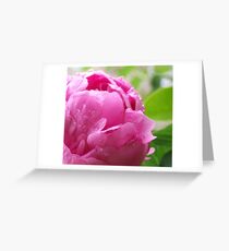 pink Greeting Card