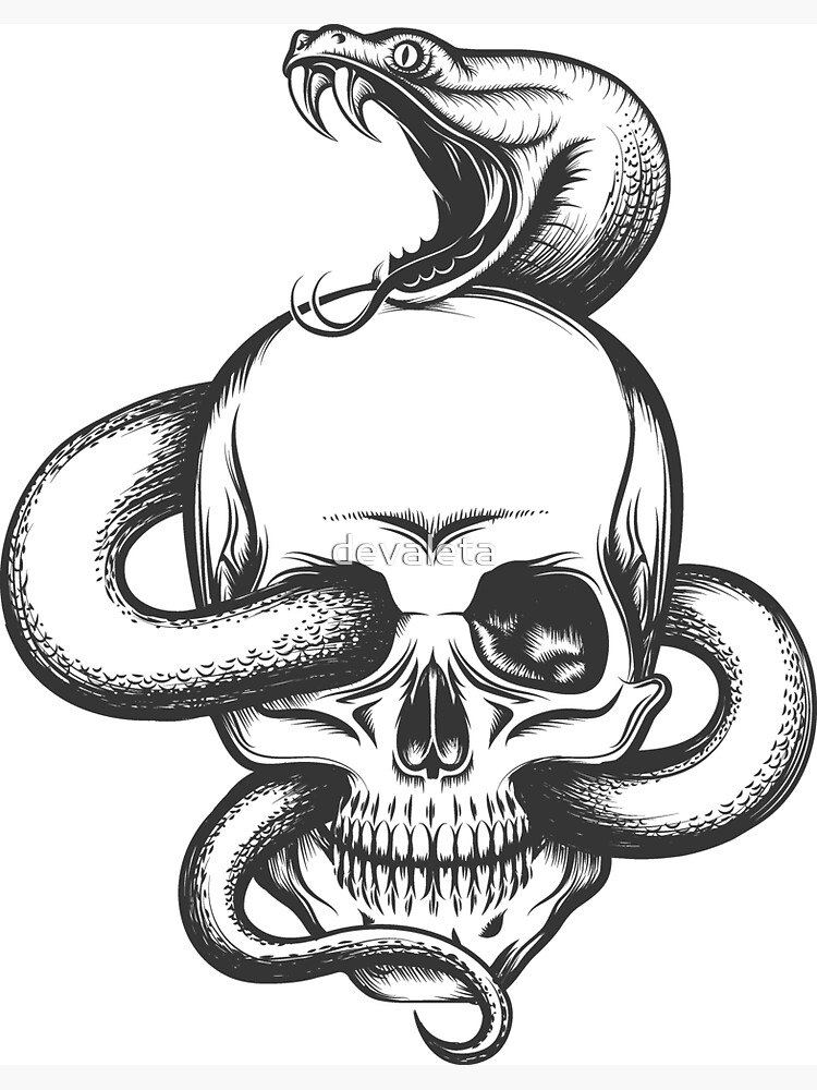 Snake and Skull Engraving Illustration