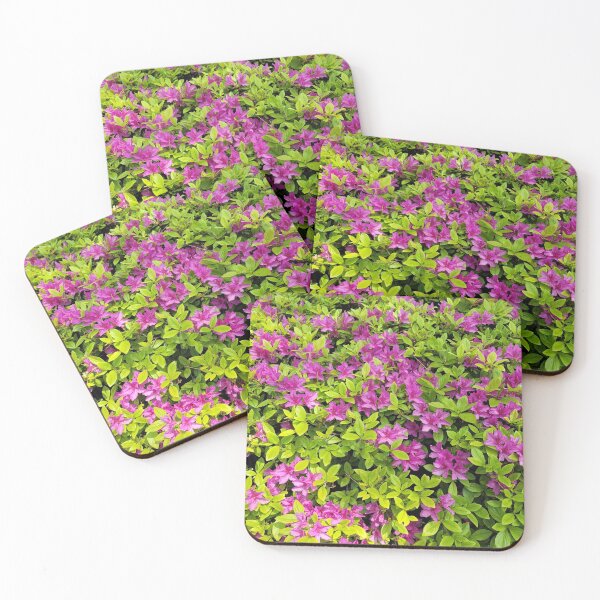 Item preview, Azalea flowers along the youngdeungpo road, Seoul in  Korea. designed and sold by human8891.