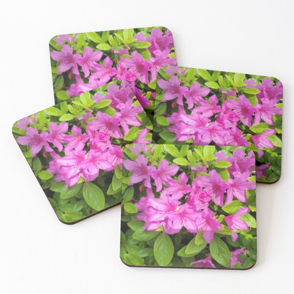 Item preview,  Azalea flowers along the youngdeungpo road, Seoul in  Korea. designed and sold by human8891.