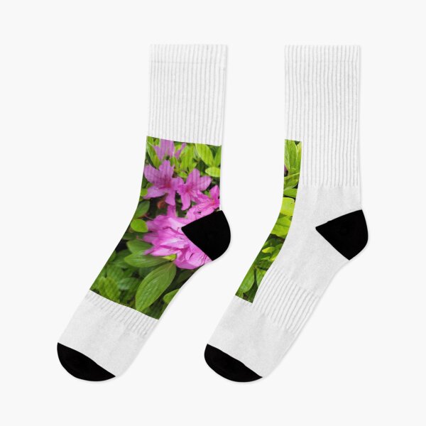 Item preview,  Azalea flowers along the youngdeungpo road, Seoul in  Korea. designed and sold by human8891.