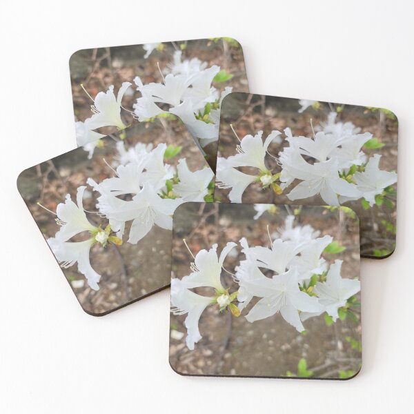 Item preview,  Azalea flowers along the youngdeungpo road, Seoul in  Korea. designed and sold by human8891.