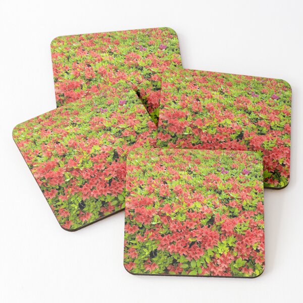 Item preview, Azalea flowers along the youngdeungpo road, Seoul in  Korea. designed and sold by human8891.