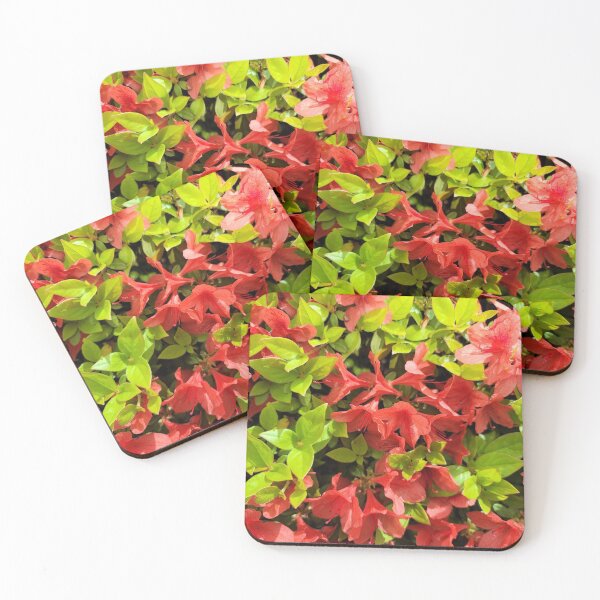Item preview, Azalea flowers along the youngdeungpo road, Seoul in  Korea. designed and sold by human8891.