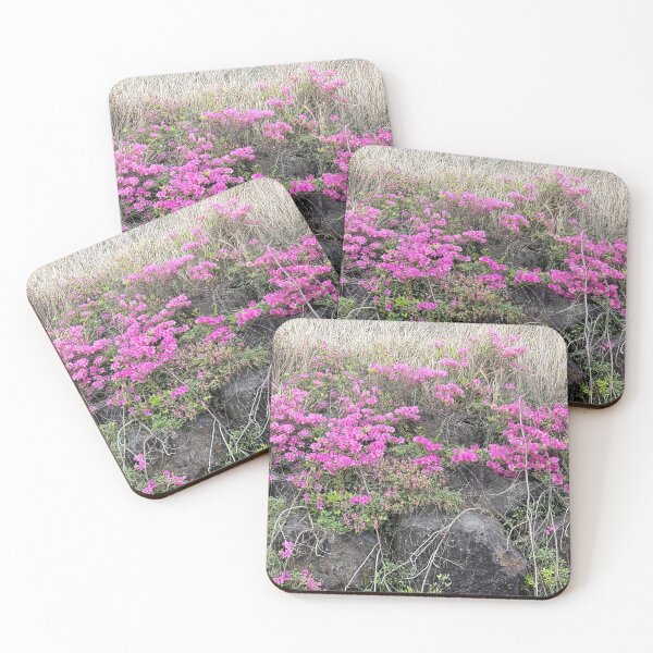 Item preview, Azalea flowers in bloom with rocks, Jeju Island  in  Korea. designed and sold by human8891.