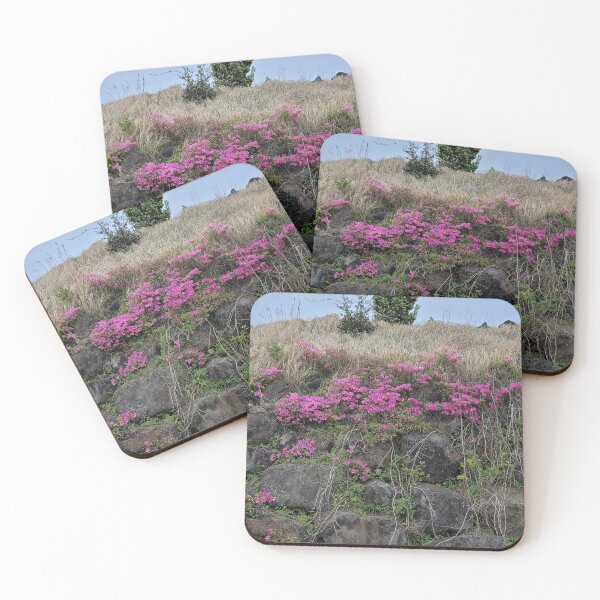 Item preview, Azalea flowers in bloom with rocks, Jeju Island in Korea. designed and sold by human8891.