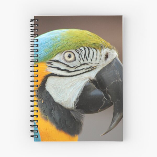 Item preview, Blue and Gold macaw portrait designed and sold by macawmad.