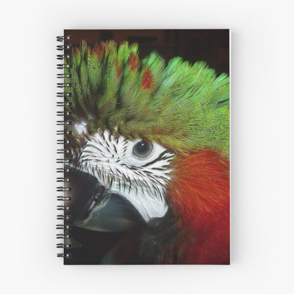 Item preview, Jubilee macaw portrait designed and sold by macawmad.