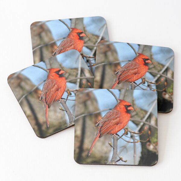 Item preview, Back Yard Cardinal  designed and sold by Lanis Rossi.
