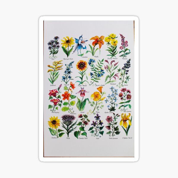 Wildflower Alphabet Sticker