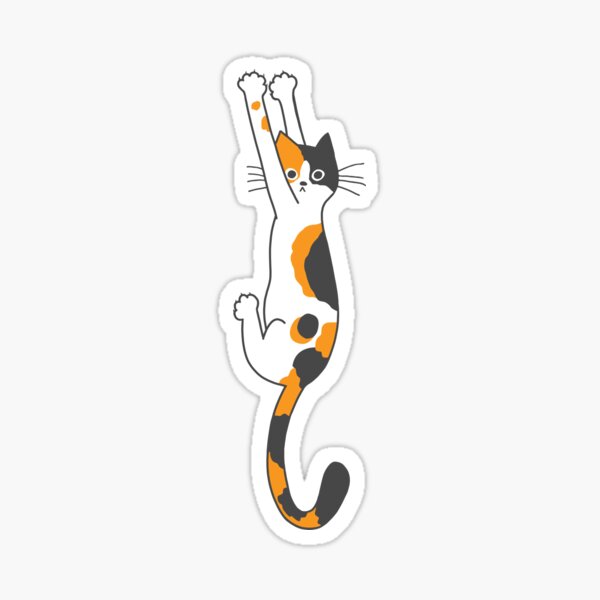 Calico Cat Hanging On  Sticker