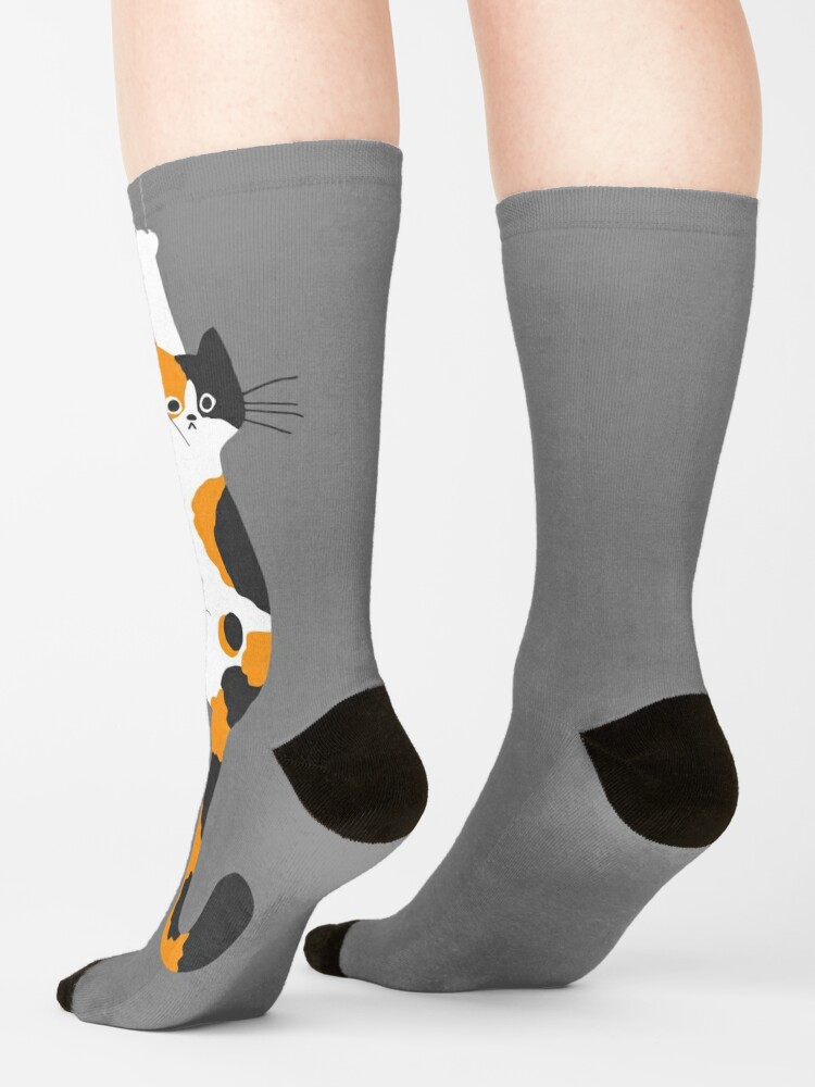 Disover Calico Cat Hanging On  | Socks