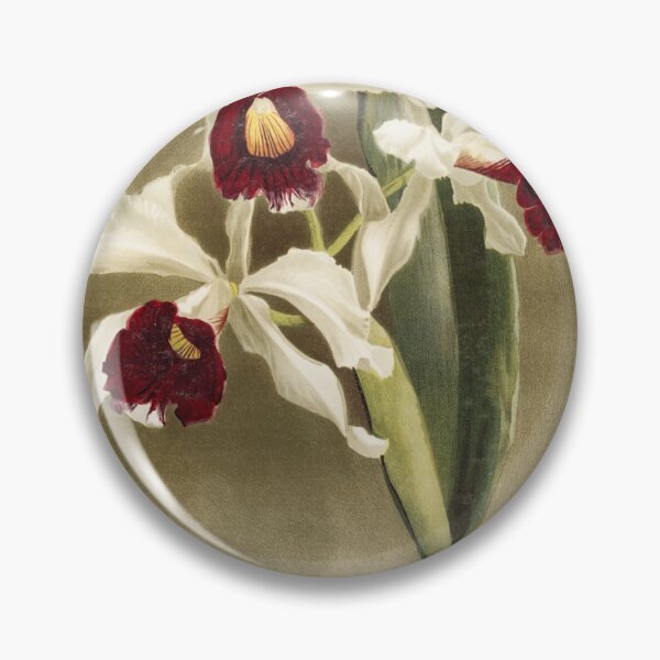 Item preview, Reichenbachia: Orchids Illustrated and Described designed and sold by EsotericBotanic.