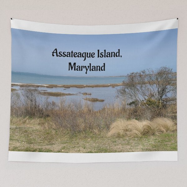 Item preview, Assateague Island, Maryland designed and sold by Twittlefish.