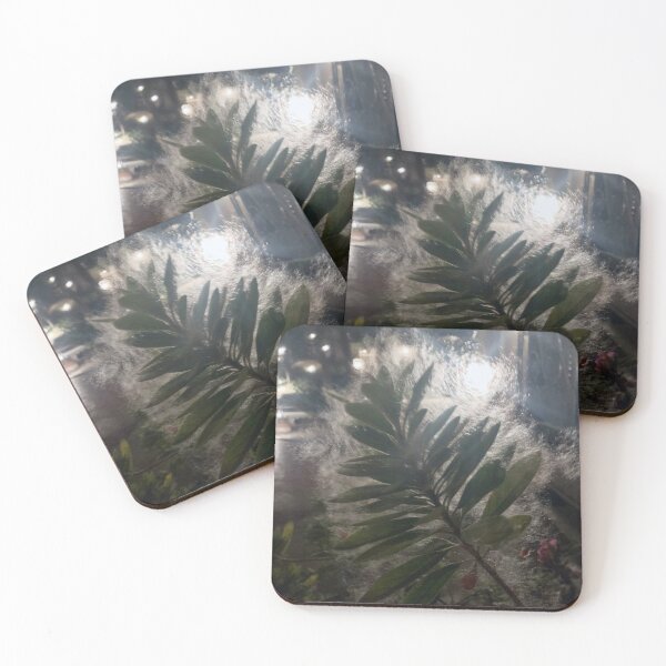 Item preview, night designed and sold by MariannaPhotos.