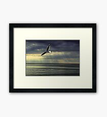 Jonathan Livingston Seagull Framed Print