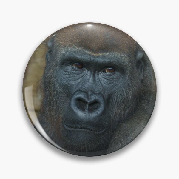 Item preview, Gorilla Portrait designed and sold by rawshutterbug.