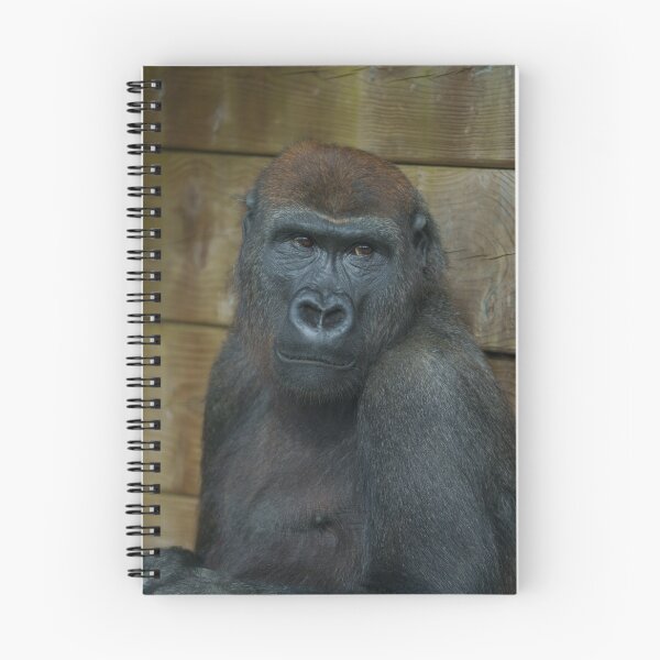 Item preview, Gorilla Portrait designed and sold by rawshutterbug.