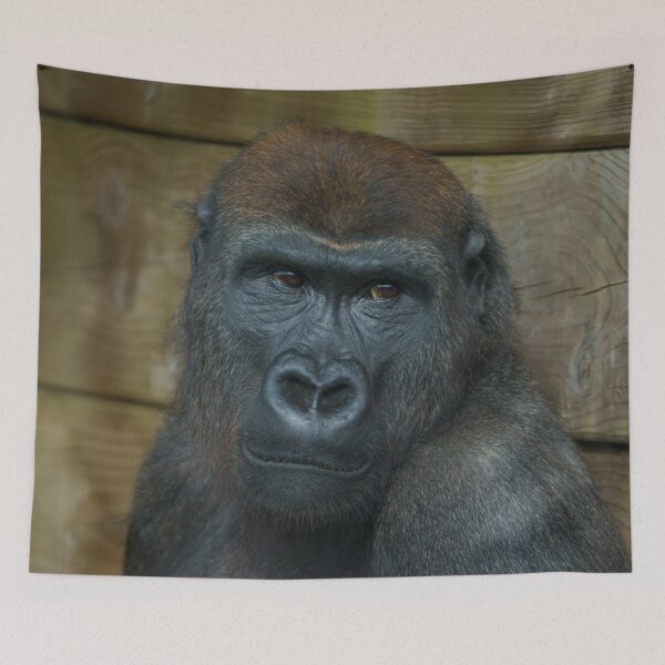 Item preview, Gorilla Portrait designed and sold by rawshutterbug.