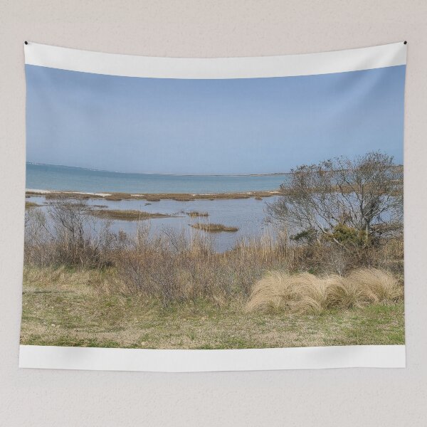 Item preview, Assateague Island, Maryland designed and sold by Twittlefish.