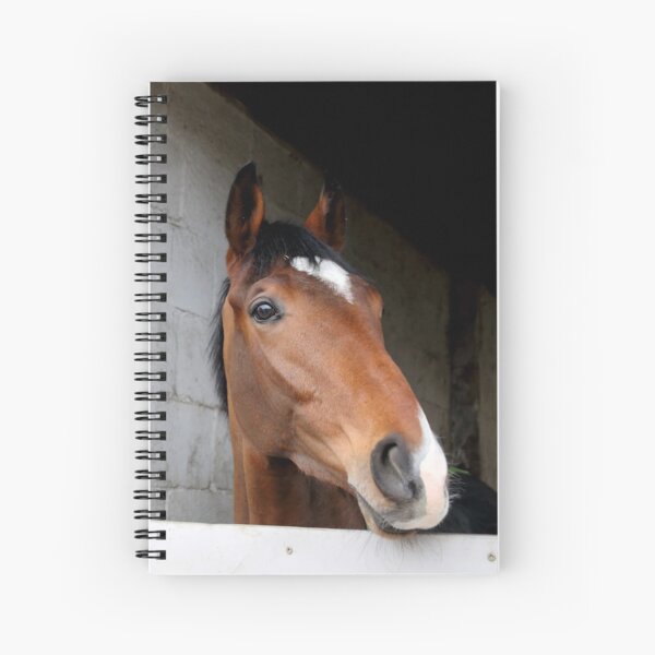 Albert's Back peeking out Spiral Notebook