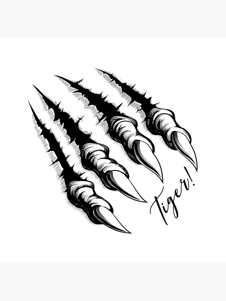 Claw Scratch Vector Art PNG, Tattoo Of Surface Scratched By Monster Claws  Drawn In Engraving Style, Monster Drawing, Monster Sketch, Edge PNG Image  For Free Download