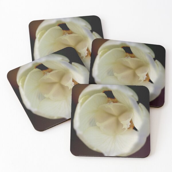 Item preview, Soft White designed and sold by Marylou Badeaux.