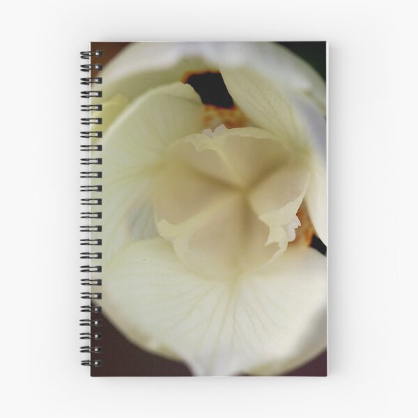 Item preview, Soft White designed and sold by Marylou Badeaux.