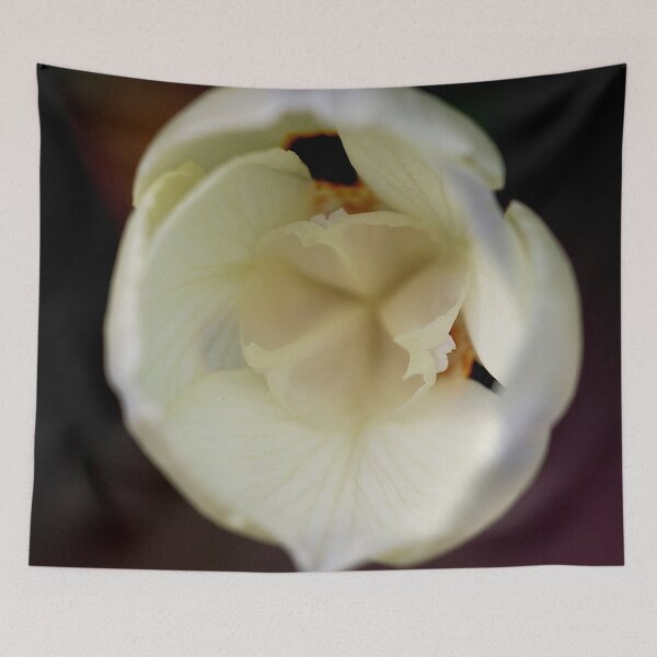 Item preview, Soft White designed and sold by Marylou Badeaux.