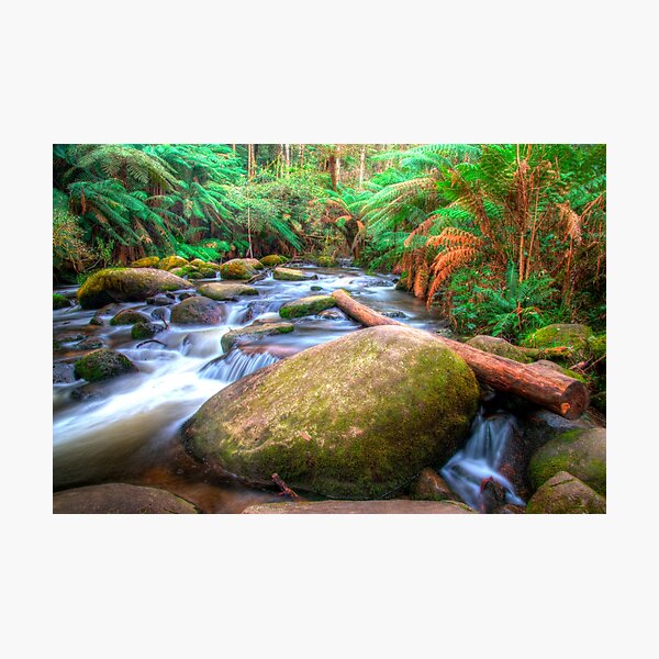 Item preview, Toorongo River designed and sold by Scott Harty.